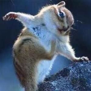 Meet your Posher, Yuying